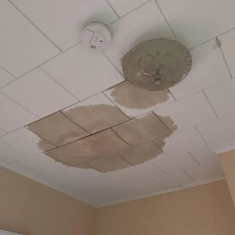 Ceiling Water Damage Repair in Sweetwater County, WY