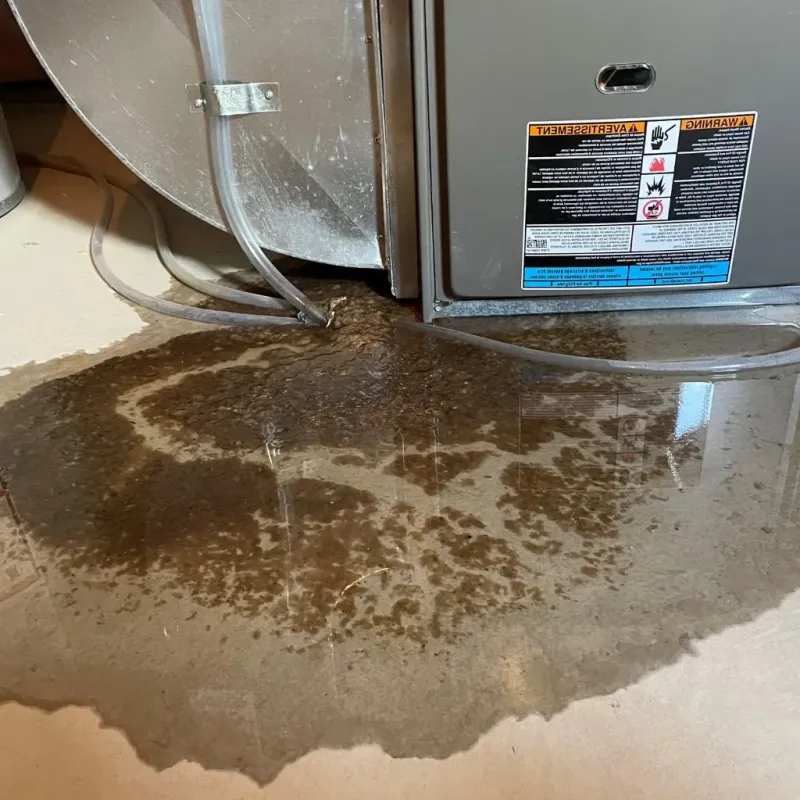 Pipe Burst and Leak Restoration in Sweetwater County, WY