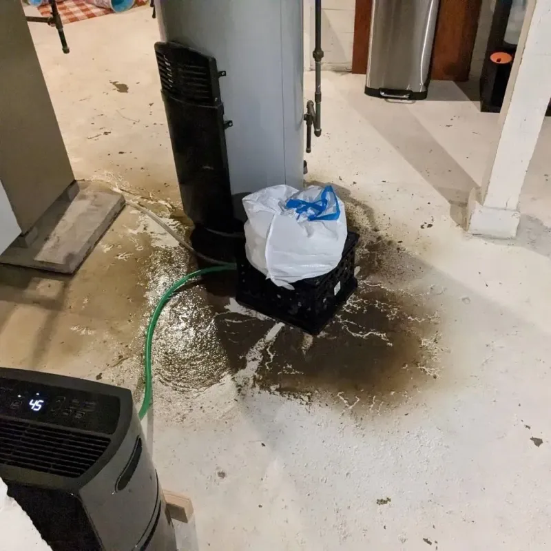 Sewage Backup Cleanup Service in Sweetwater County, WY